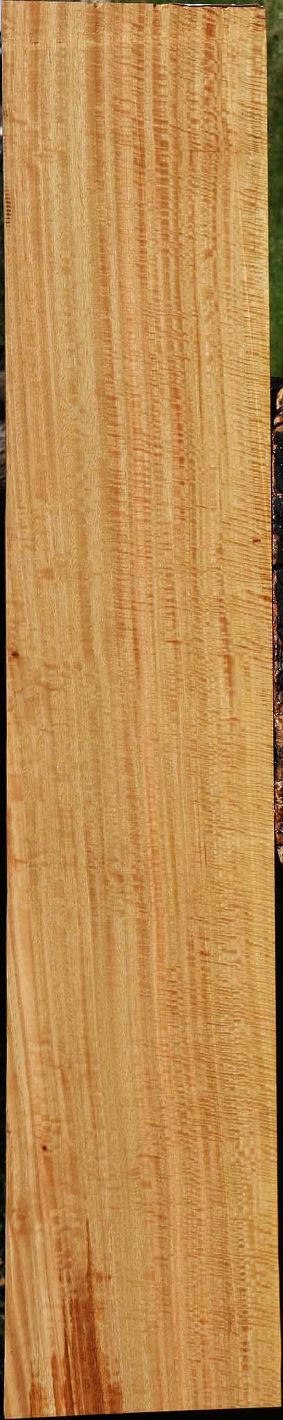 Extra Fancy Eucalyptus Lumber