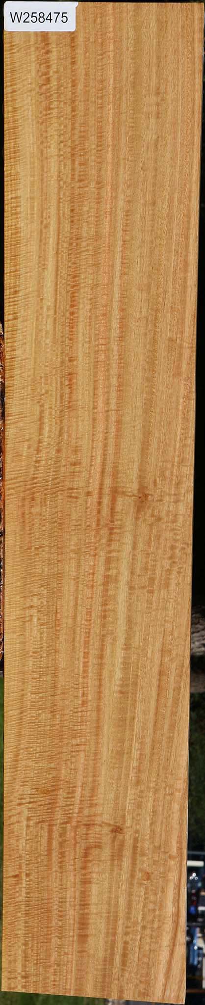 Extra Fancy Eucalyptus Lumber