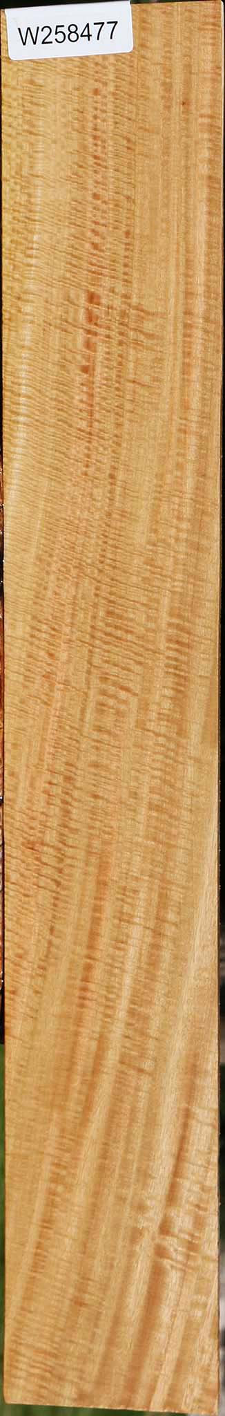 Exhibition Eucalyptus Lumber