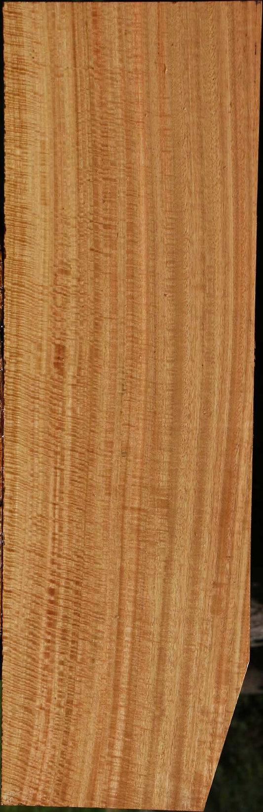Extra Fancy Eucalyptus Lumber