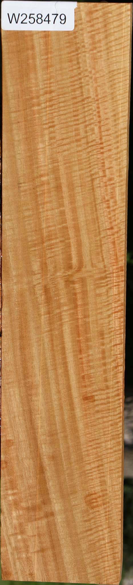 Extra Fancy Eucalyptus Lumber