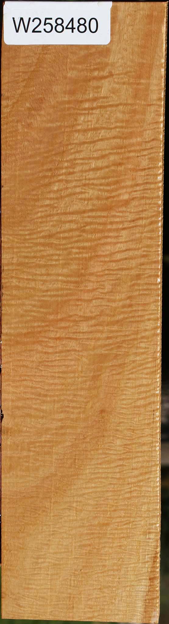 Exhibition Eucalyptus Lumber