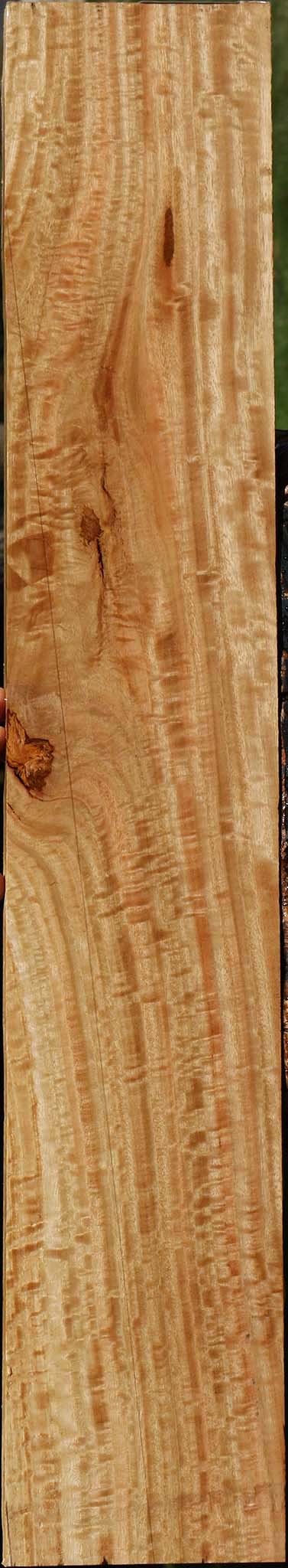 Extra Fancy Eucalyptus Lumber