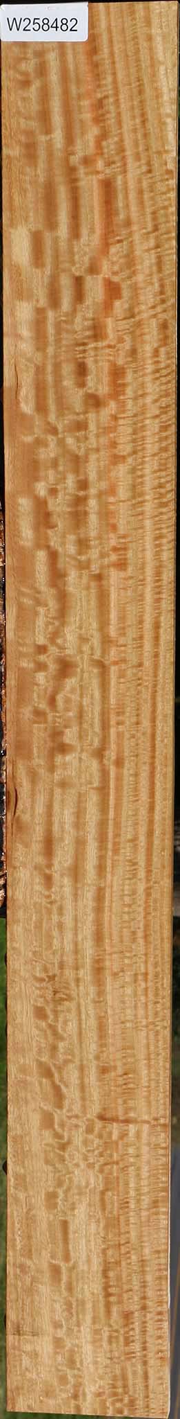 Extra Fancy Eucalyptus Micro Lumber