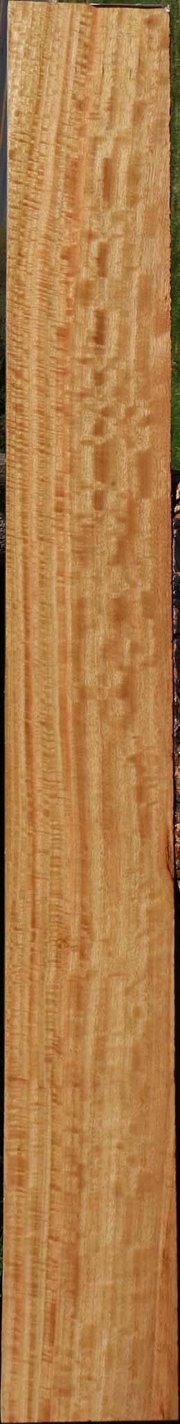 Extra Fancy Eucalyptus Micro Lumber