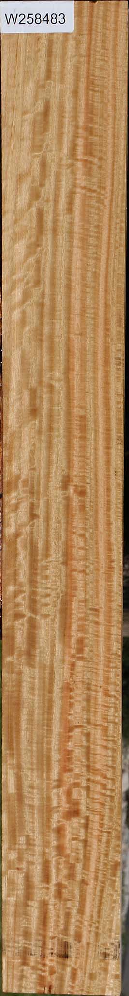 Extra Fancy Eucalyptus Micro Lumber