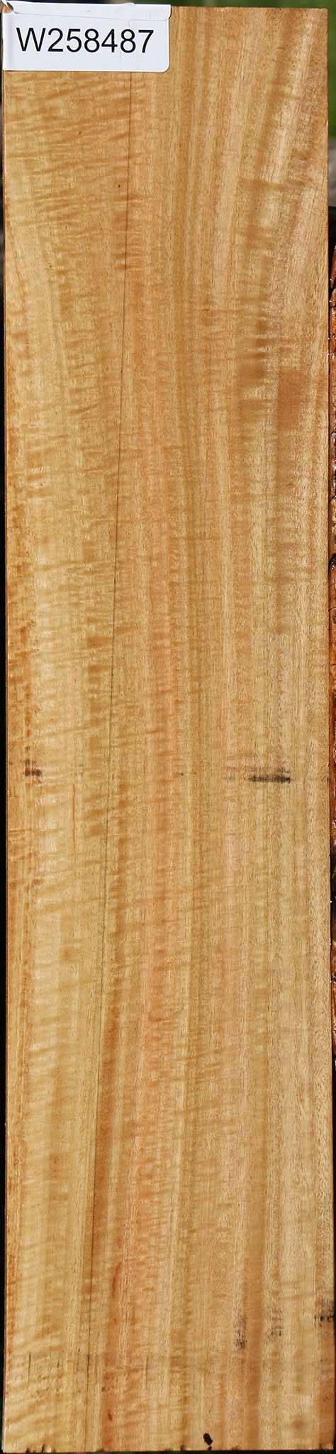 Extra Fancy Eucalyptus Micro Lumber