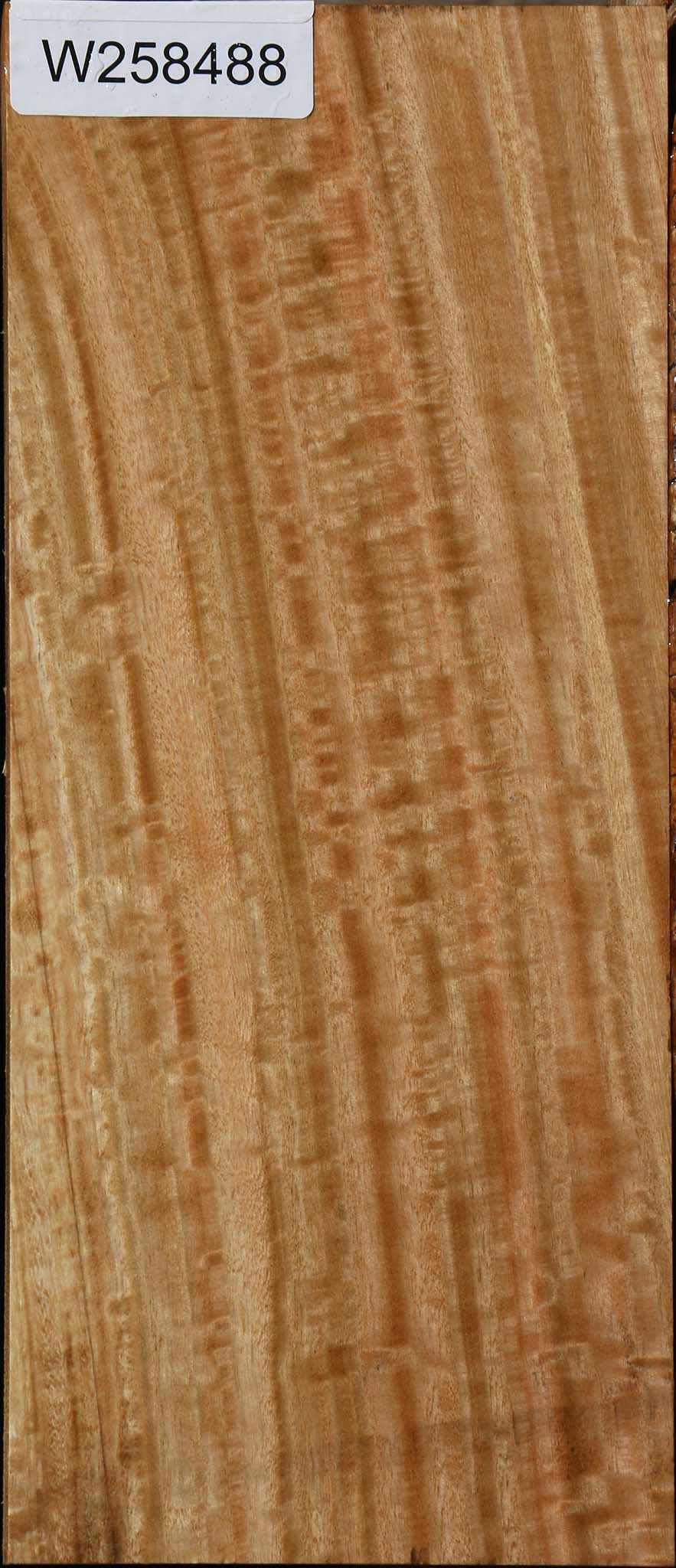 Extra Fancy Eucalyptus Lumber