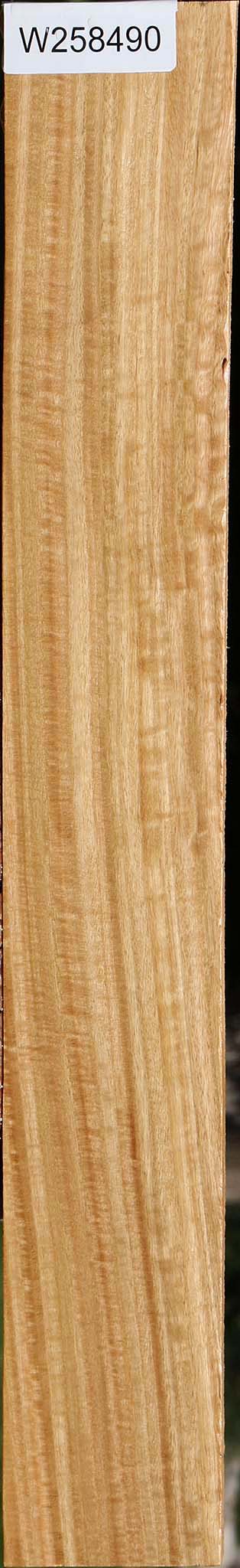 Extra Fancy Eucalyptus Lumber