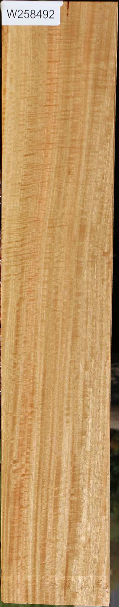Extra Fancy Eucalyptus Lumber