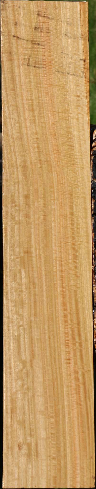 Extra Fancy Eucalyptus Lumber