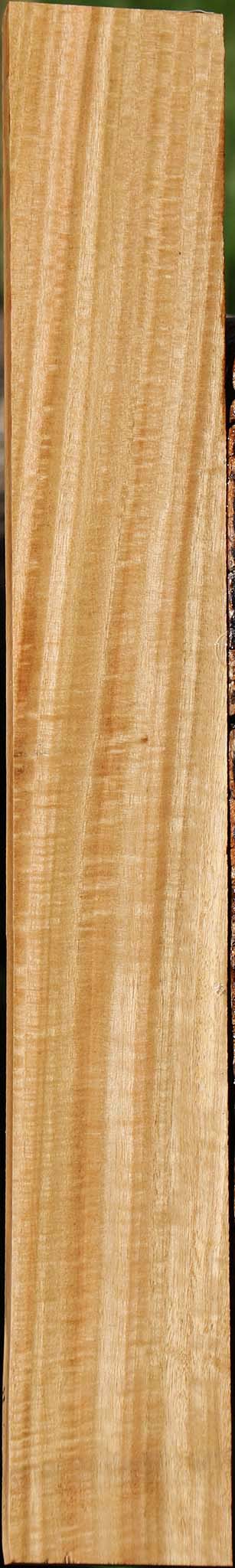 Extra Fancy Eucalyptus Lumber
