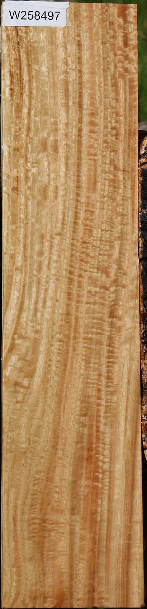 Extra Fancy Eucalyptus Lumber