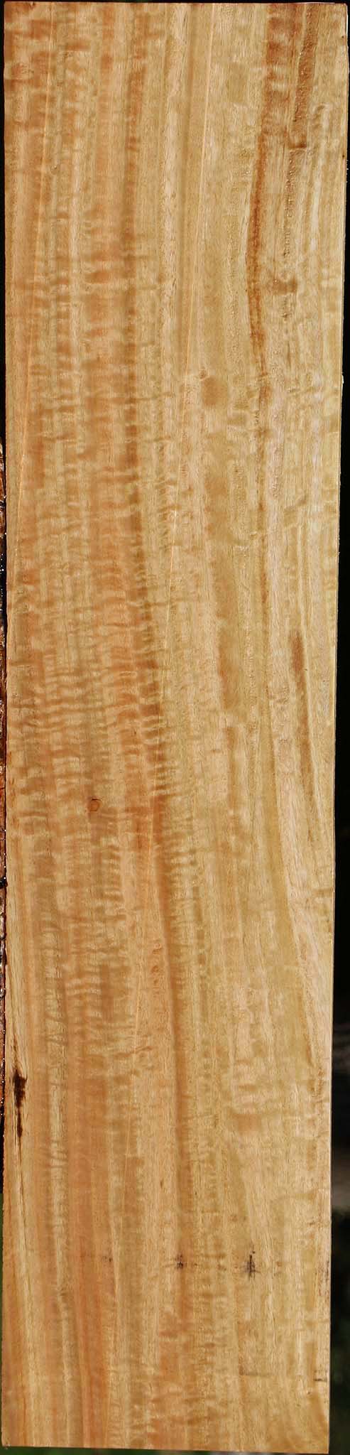 Extra Fancy Eucalyptus Lumber