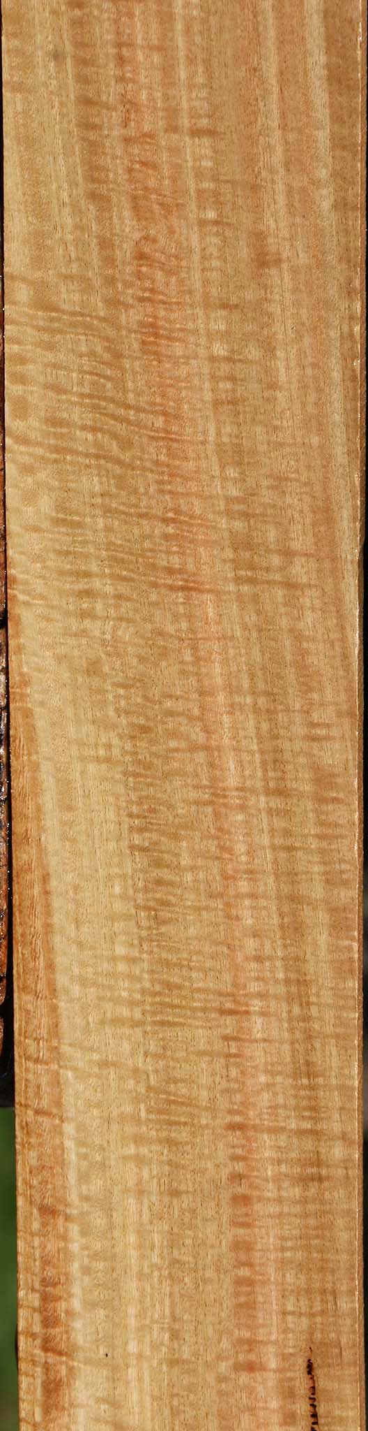 Extra Fancy Eucalyptus Lumber