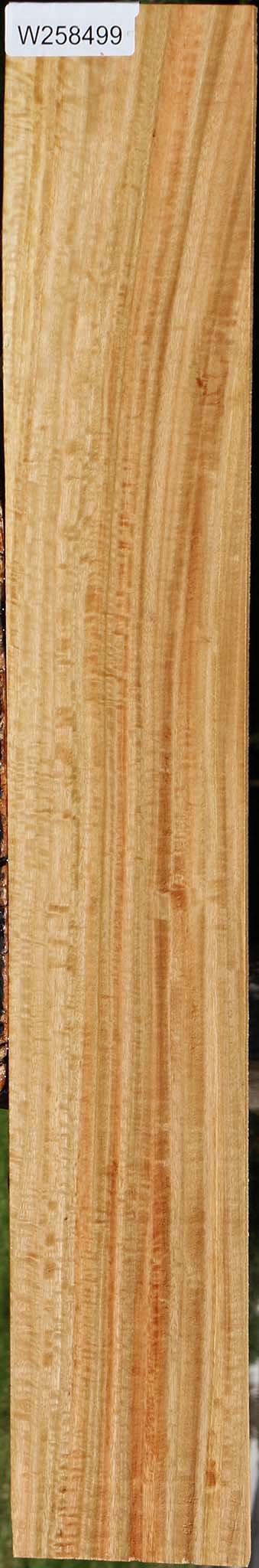 Extra Fancy Eucalyptus Lumber