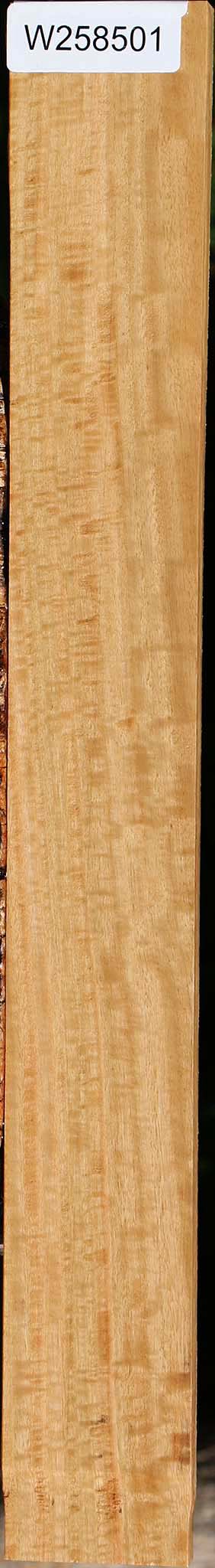 Extra Fancy Eucalyptus Lumber