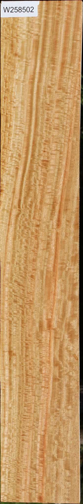 Extra Fancy Eucalyptus Lumber