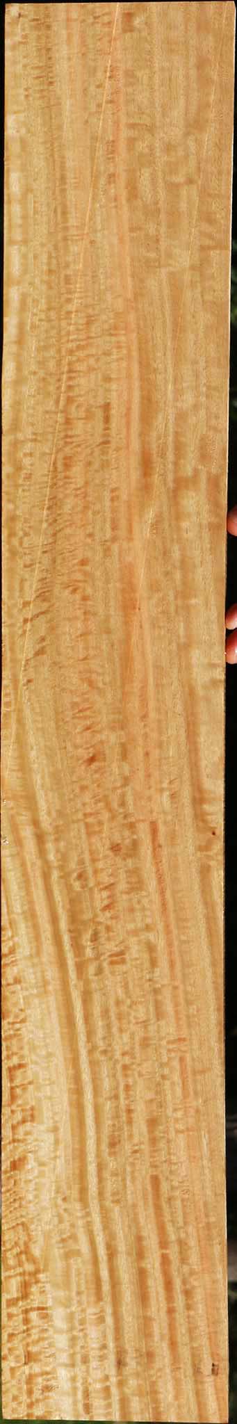 Extra Fancy Eucalyptus Lumber