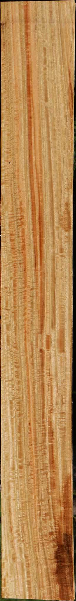 Extra Fancy Eucalyptus Lumber