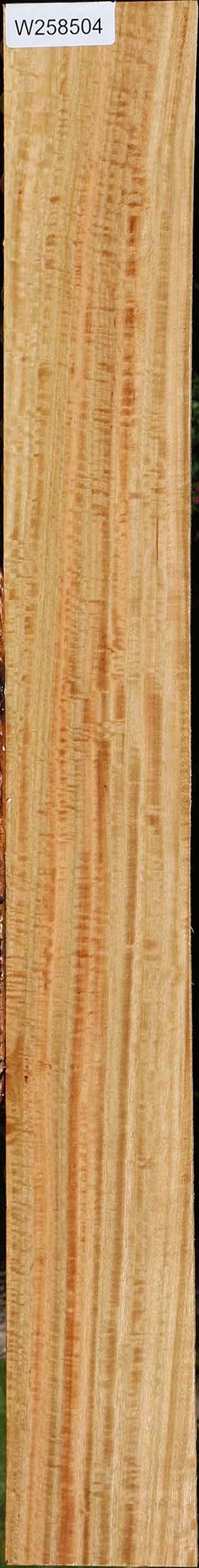 Extra Fancy Eucalyptus Lumber