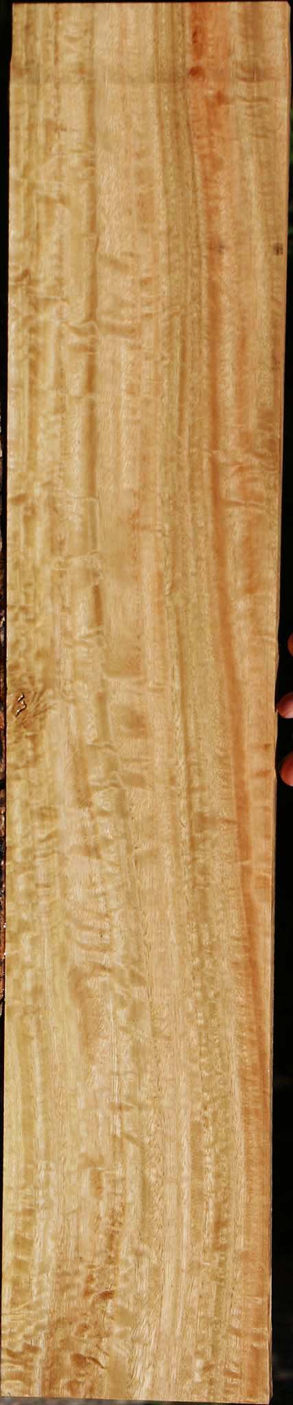 Extra Fancy Eucalyptus Lumber
