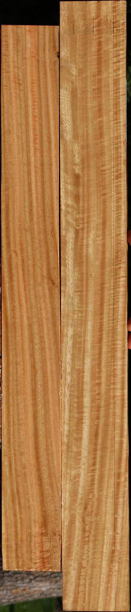 Eucalyptus Lumber 2 Pack
