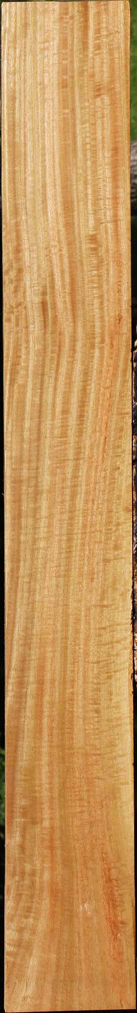 Extra Fancy Eucalyptus Lumber