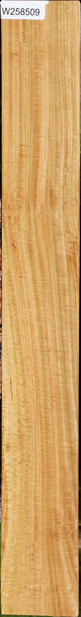 Extra Fancy Eucalyptus Lumber