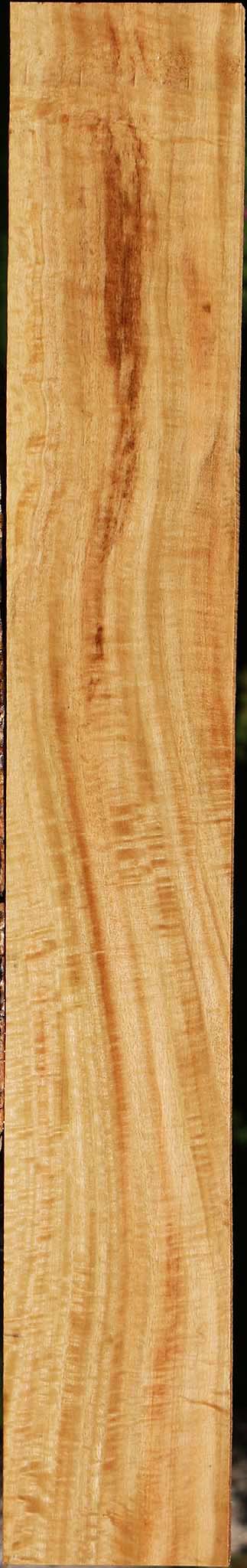 Extra Fancy Eucalyptus Lumber