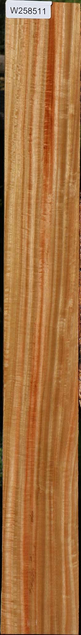 Extra Fancy Eucalyptus Lumber