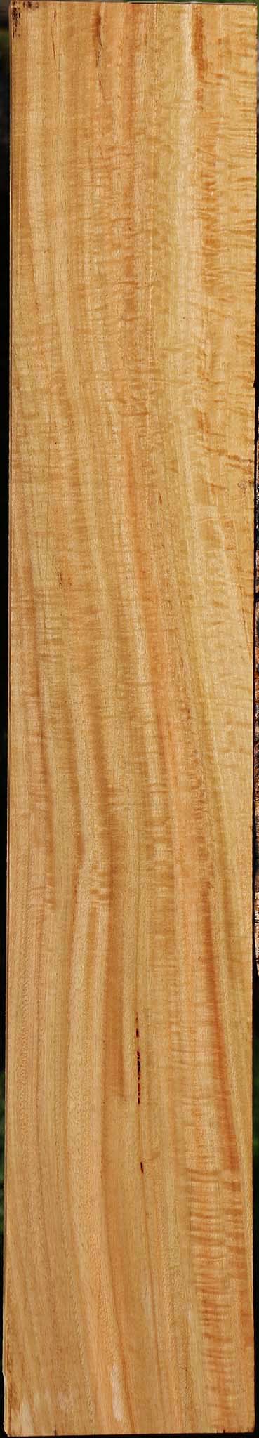 Extra Fancy Eucalyptus Lumber