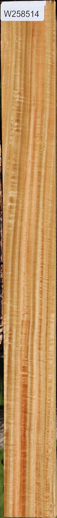 Extra Fancy Eucalyptus Lumber
