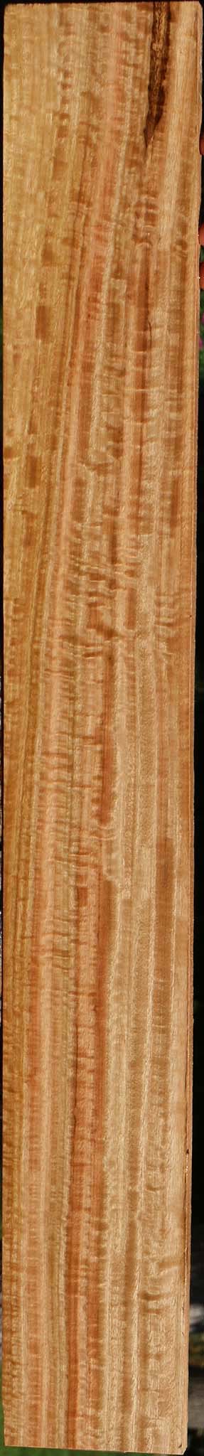 Extra Fancy Eucalyptus Lumber