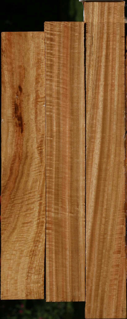Extra Fancy Eucalyptus Lumber 3 Pack