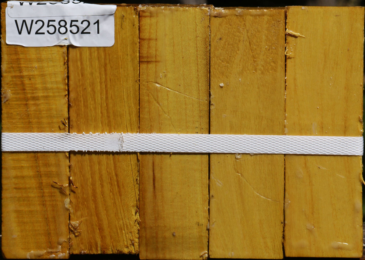 Osage Orange Turning Square 5 Pack