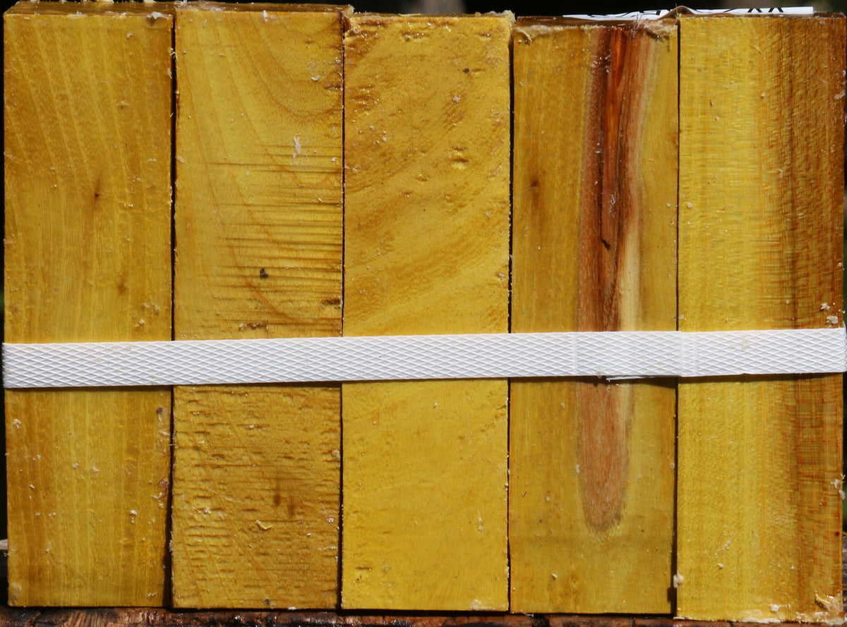 Osage Orange Turning Square 5 Pack