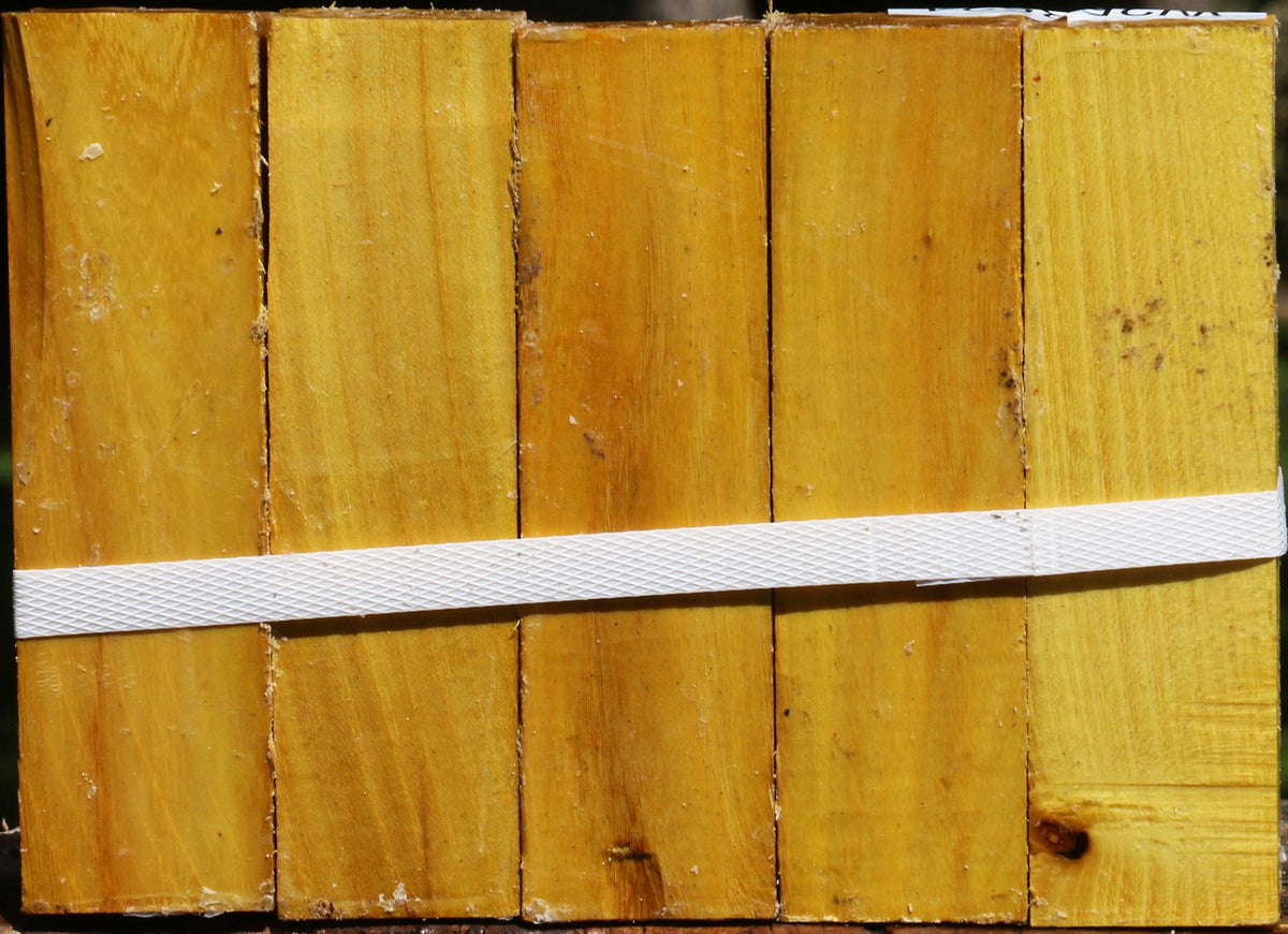 Osage Orange Turning Square 5 Pack