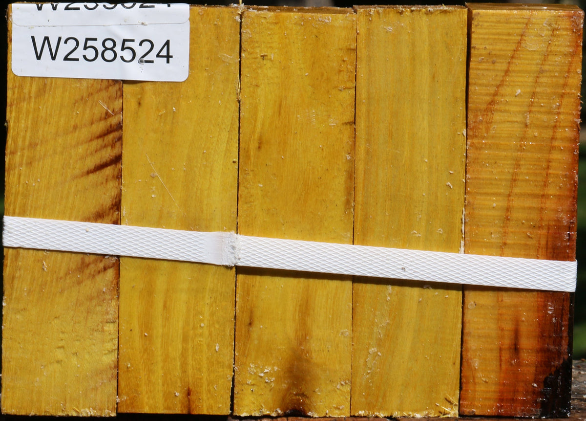 Osage Orange Turning Square 5 Pack
