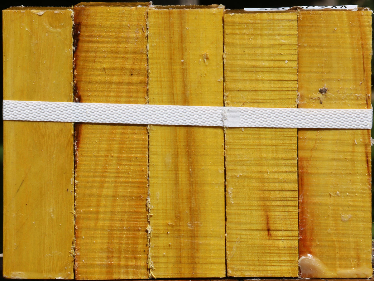 Osage Orange Turning Square 5 Pack