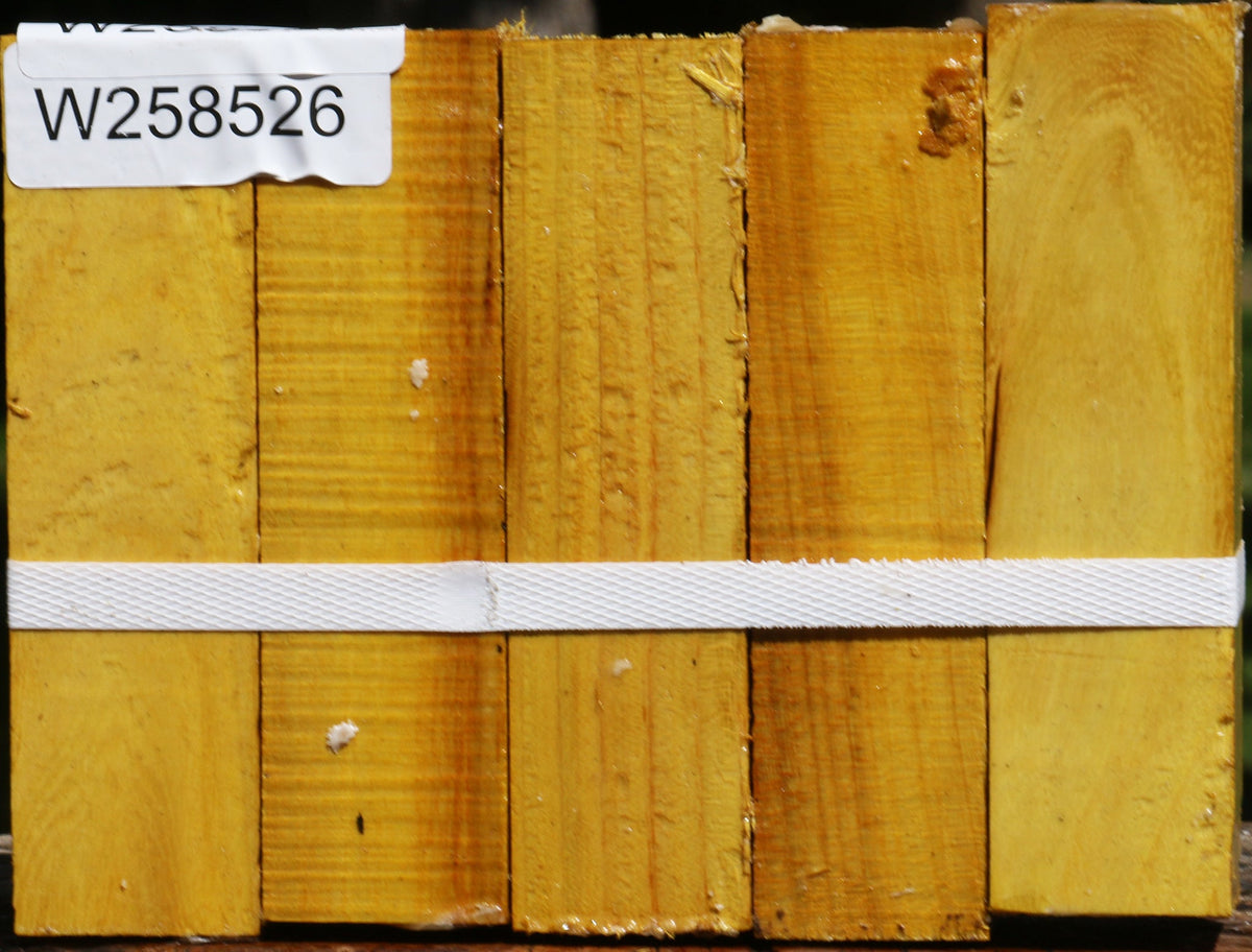 Osage Orange Turning Square 5 Pack