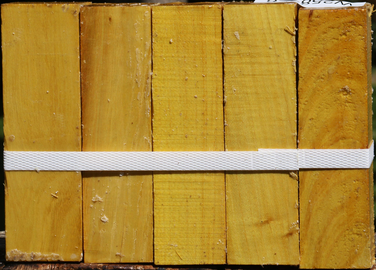 Osage Orange Turning Square 5 Pack