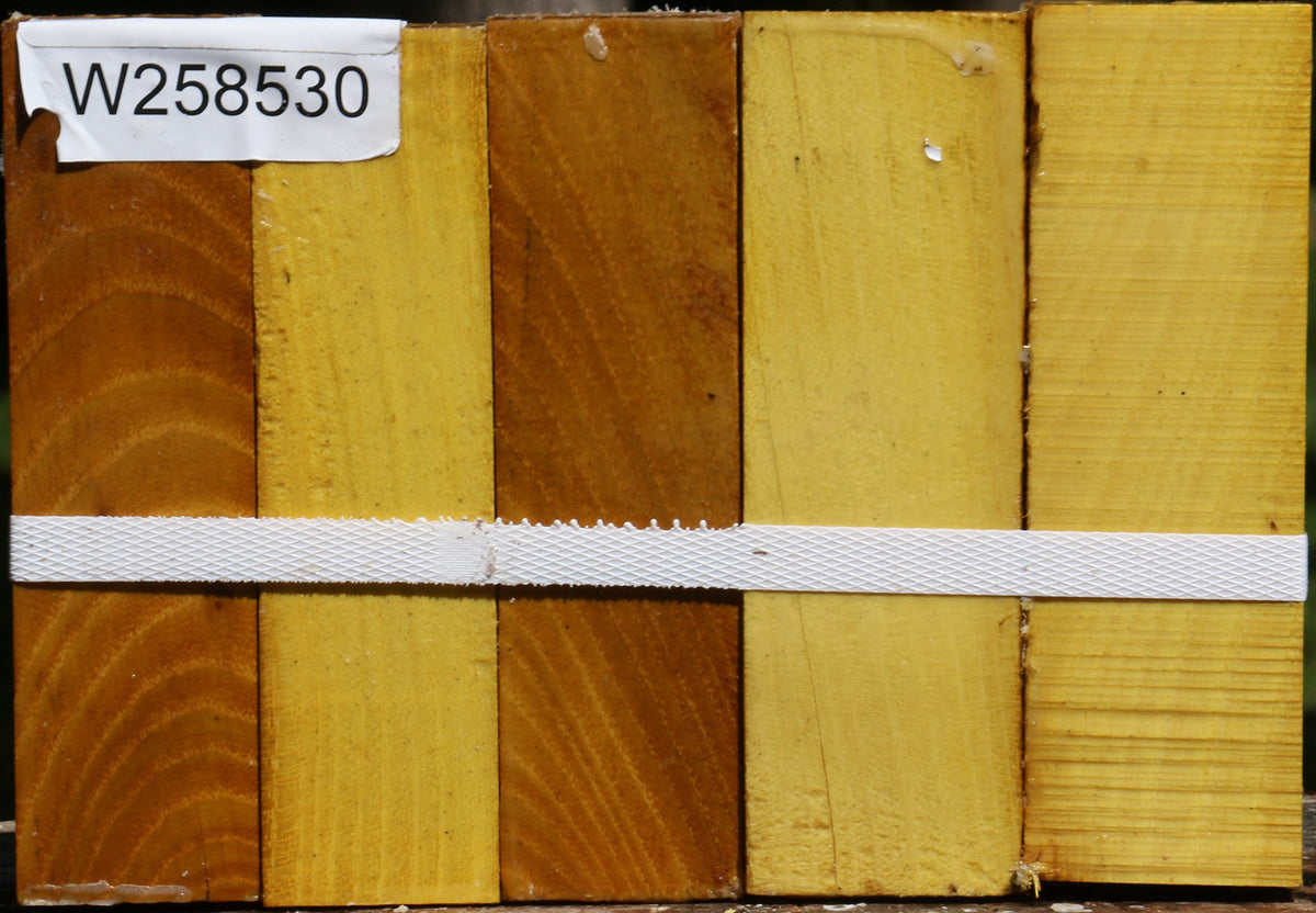 Osage Orange Turning Square 5 Pack