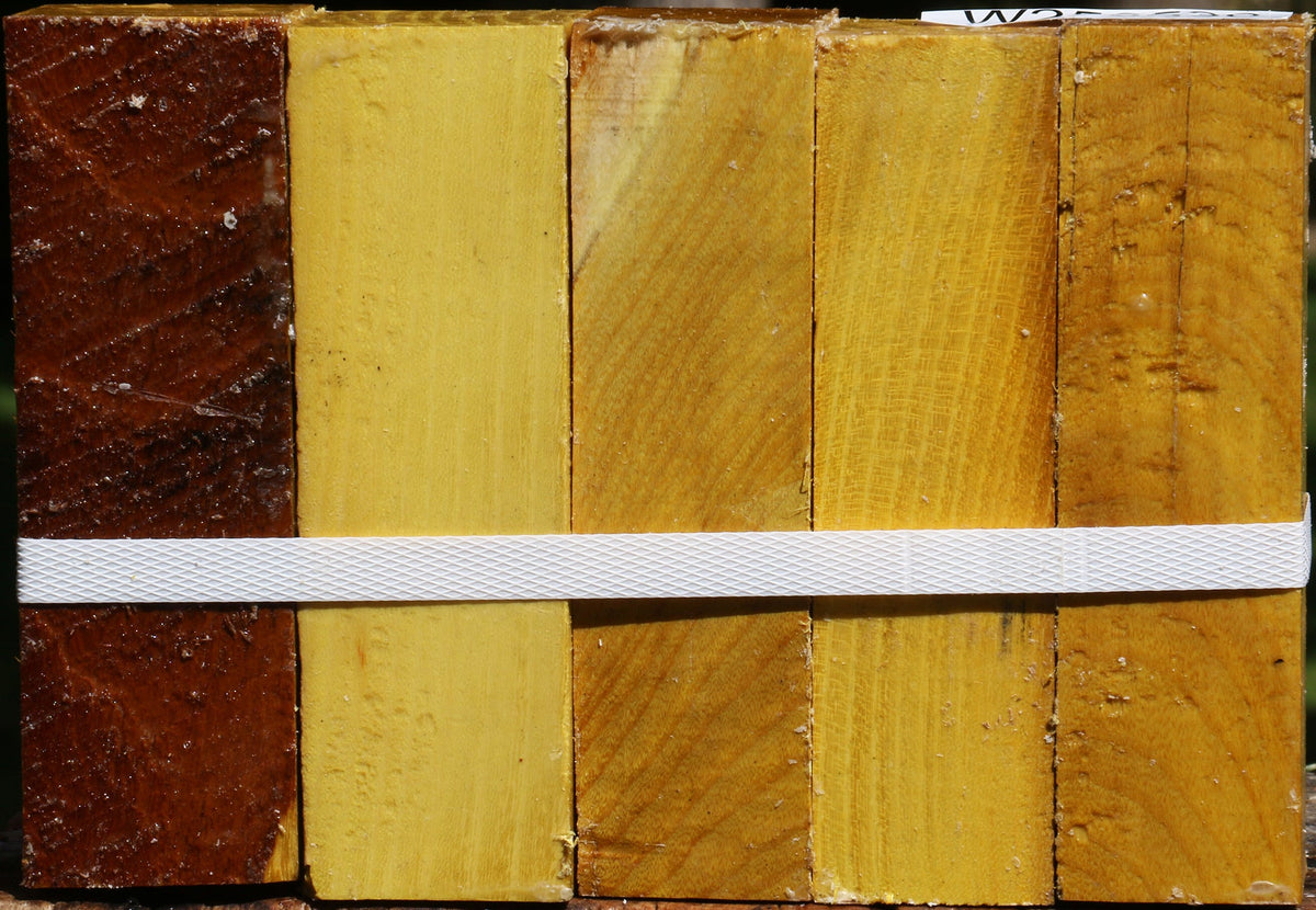 Osage Orange Turning Square 5 Pack