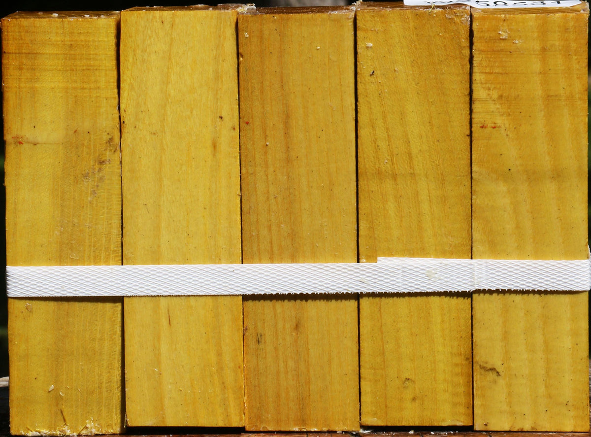 Osage Orange Turning Square 5 Pack