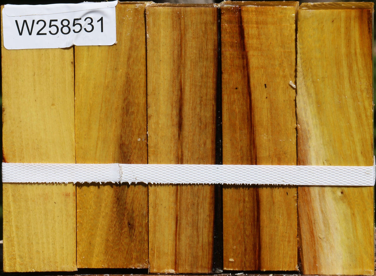 Osage Orange Turning Square 5 Pack
