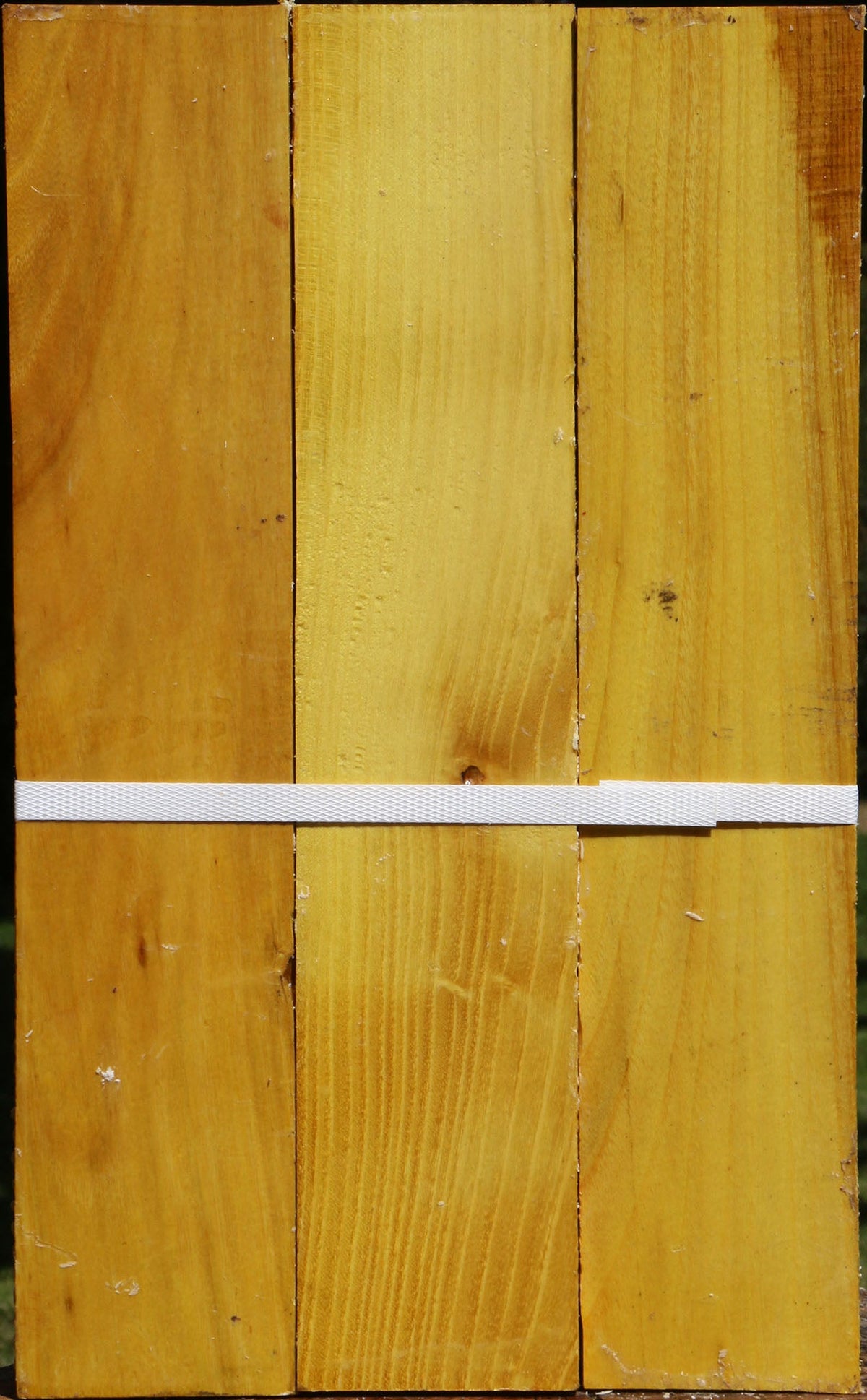 Osage Orange Lumber 3 Pack