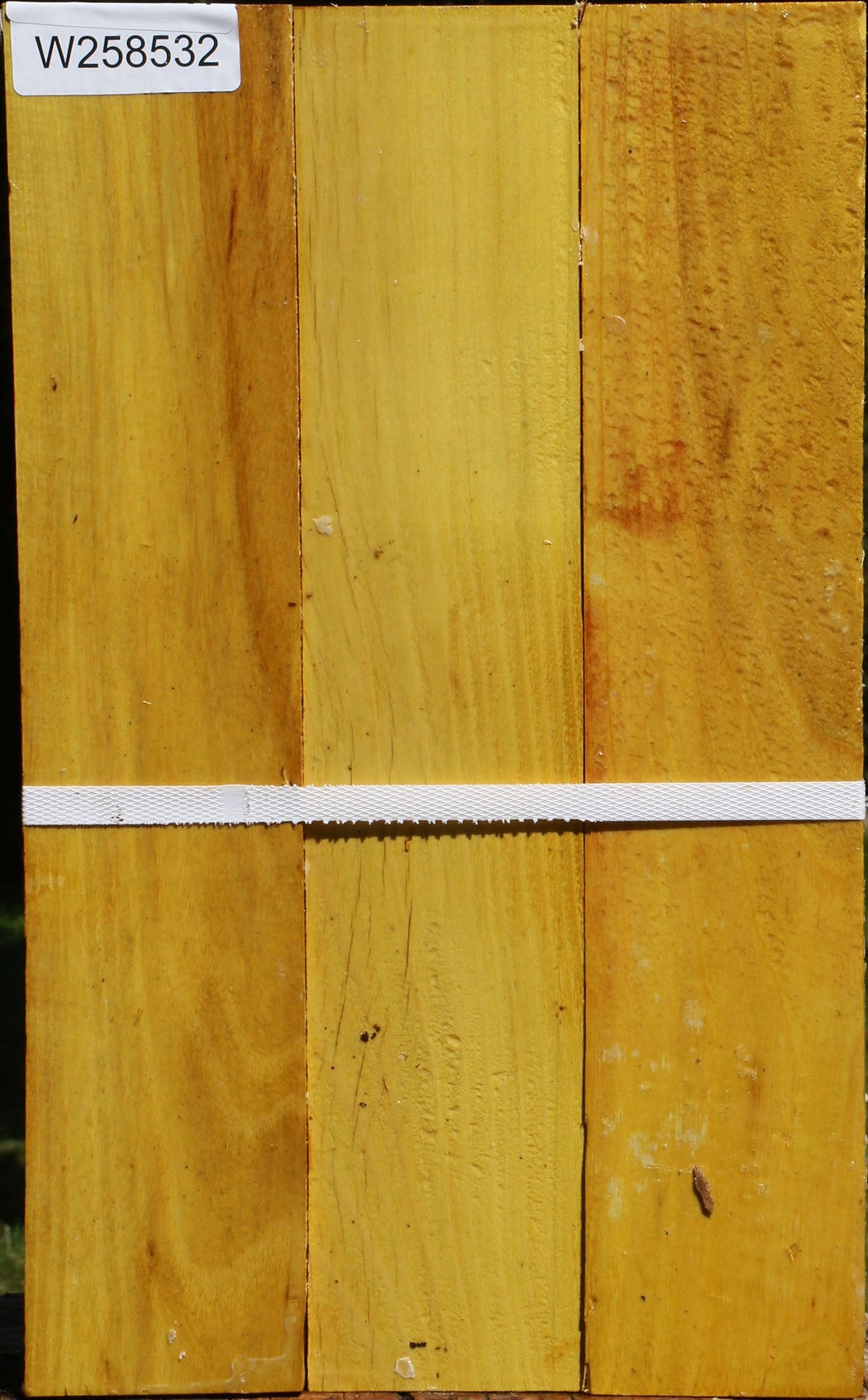 Osage Orange Lumber 3 Pack