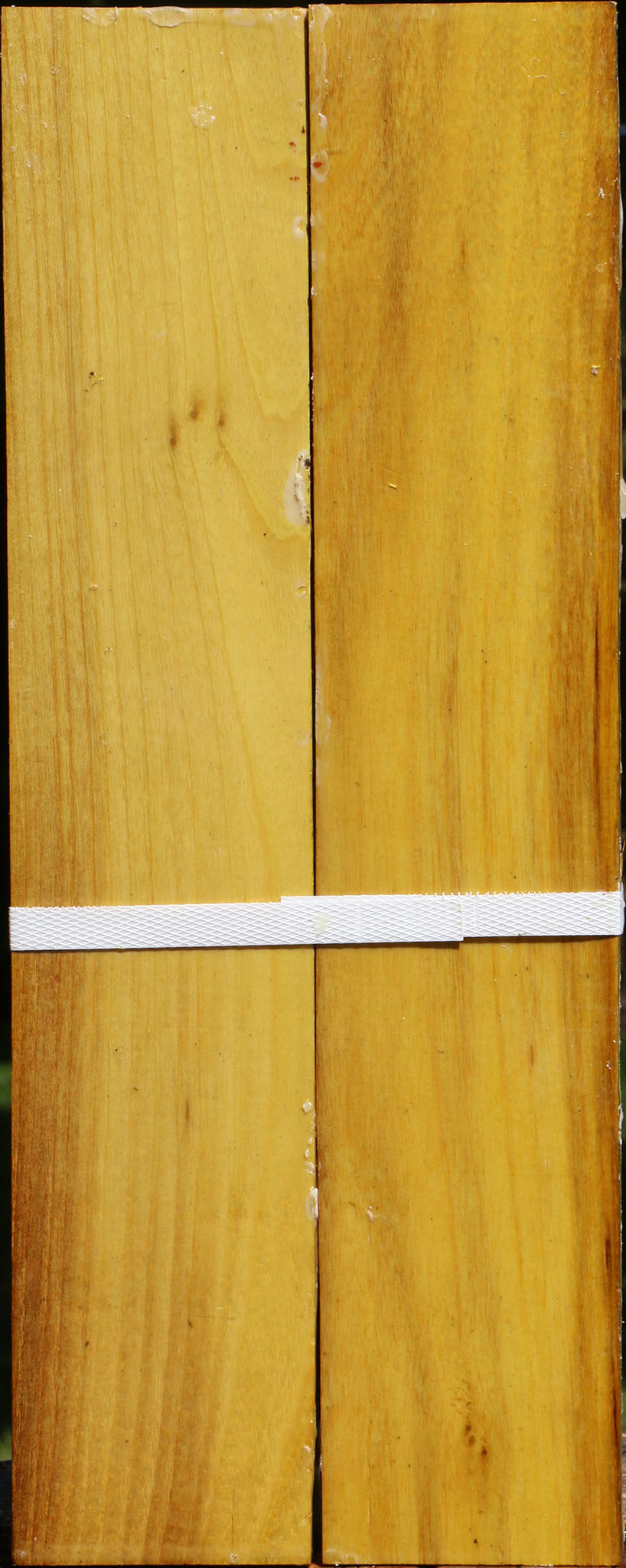 Osage Orange Lumber 2 Pack