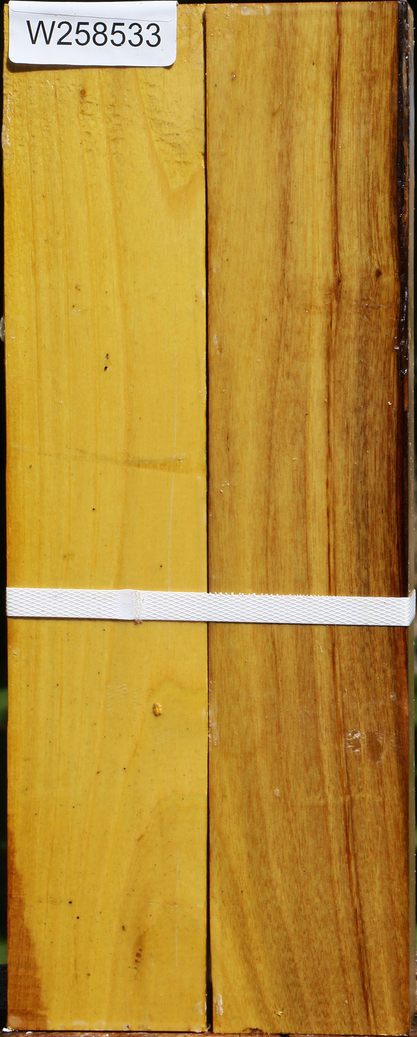 Osage Orange Lumber 2 Pack